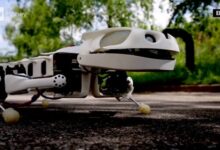 Salamander robot spinal uses cord move swimming quickly switch walking between can