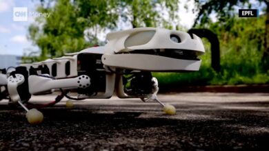 Salamander robot spinal uses cord move swimming quickly switch walking between can