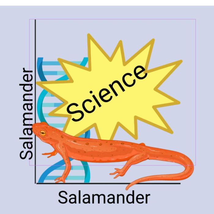 Robot salamander helps unlock evolution mysteries