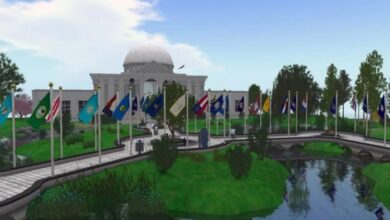 Second life residents speak for themselves