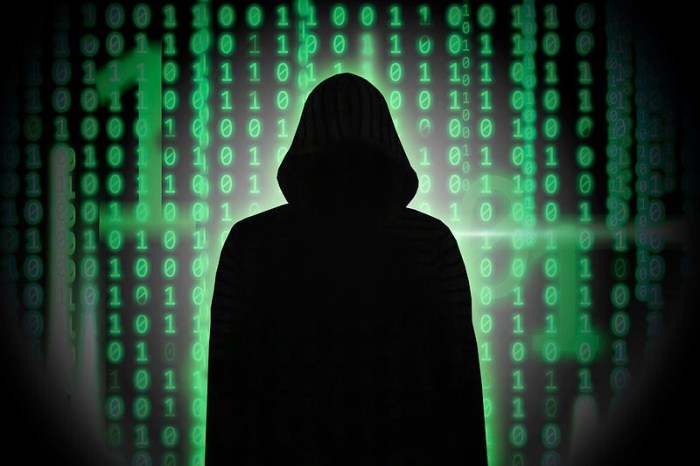 Hacker teen fbi Hackers dodge slammer in myspace extortion case