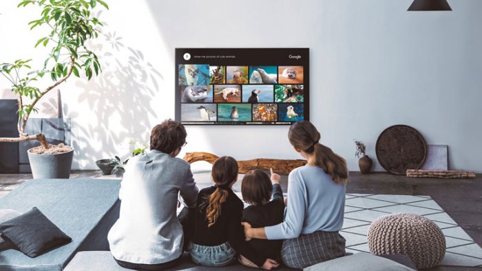 New sony cameras link to hdtvs