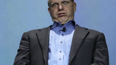 Ballmer questions googles sanity