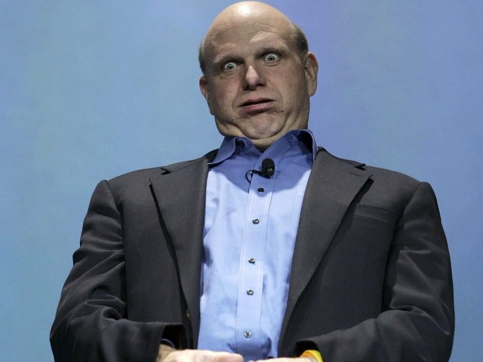 Ballmer questions googles sanity