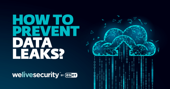 Are data leaks bleeding your company dry