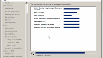 Ms aims to get kinks out of longhorn with public beta