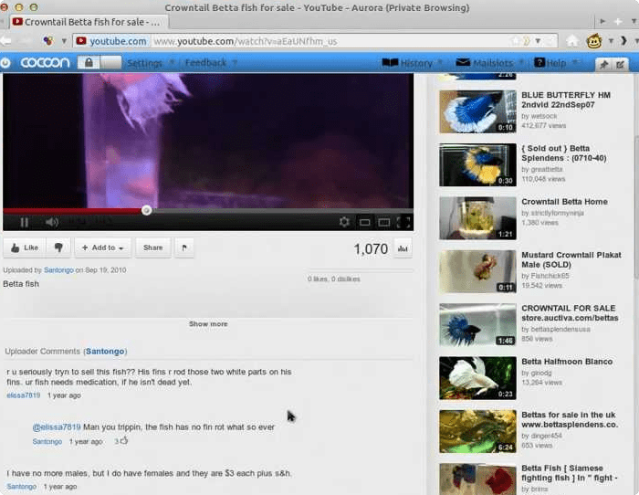 Microsoft silverlight flash killer or wannabe