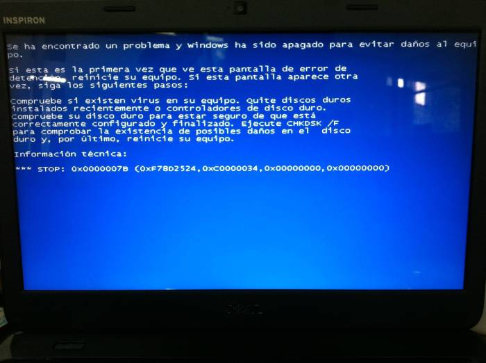 Dell revives xp on some new pcs