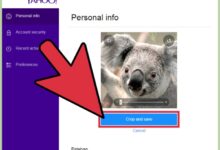 Yahoo photos to flickr out