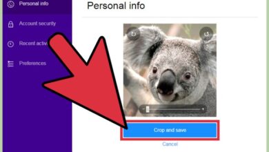 Yahoo photos to flickr out